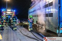 _2025-07-02 LKW Bremsen überhitzt A8 FR Wels-10